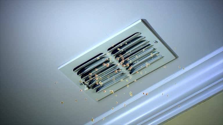 Best HVAC Duct Inspection Services  in Walkertown, NC