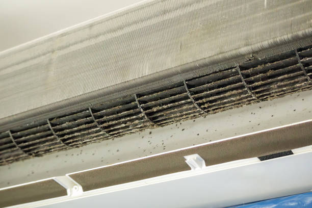 Best Residential Air Duct Cleaning  in Walkertown, NC